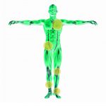 muscles_man_Front muscles_man_Front